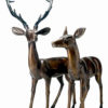Bronze Deer Buck & Doe Statues