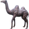 Bronze Camel Statues
