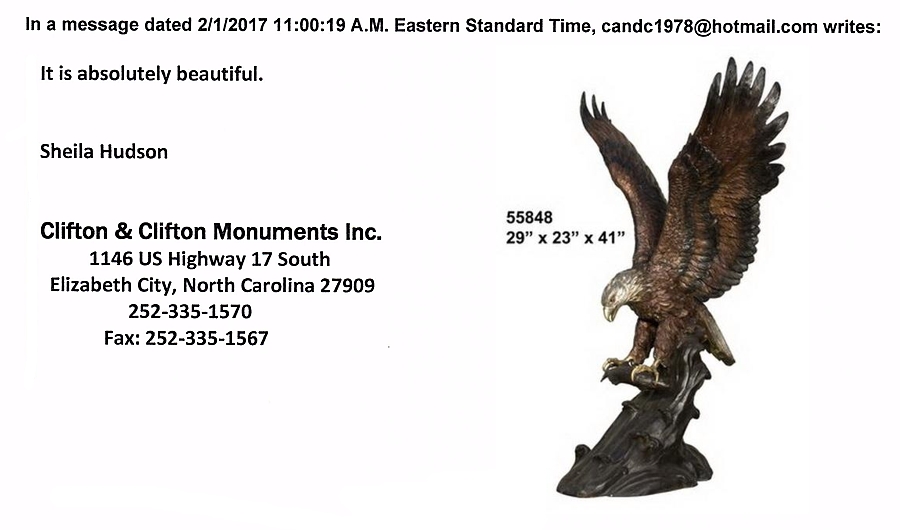 Bronze Eagle School Mascot Statue “It is absolutely beautiful” - AF 55848TS Referral