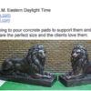 Bronze Lions Statues “My clients love the lions”