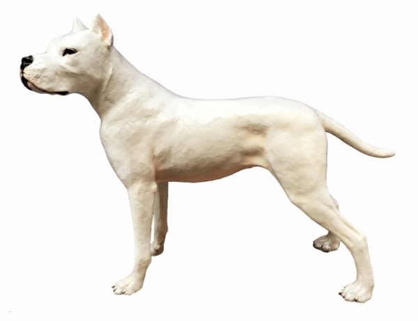 Bronze Dogo Argentino Statue