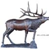 Life-Size Realistic Bronze Elk Statue