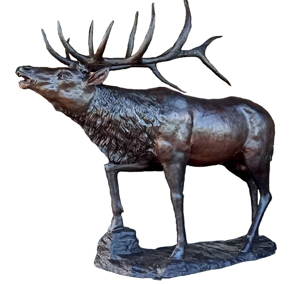 Bronze Life-Sized Elk Statue - AF 47348 TT