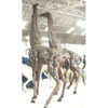 Large Bronze Giraffe Statues