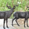Bronze Stag Statues