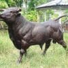 Bronze Bull Snorting Statue