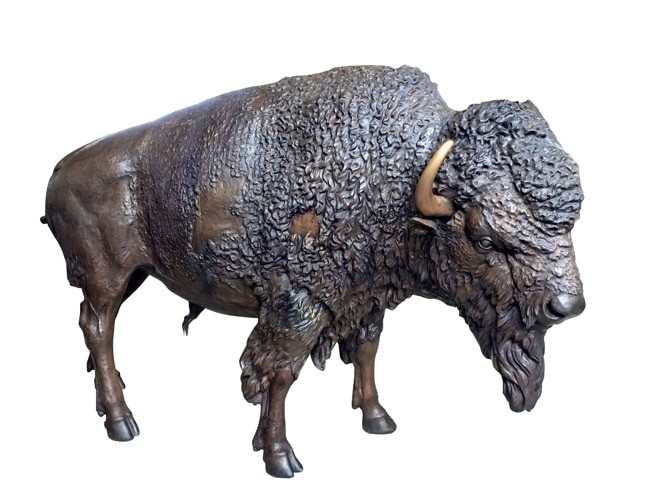 Bronze Life-Sized Bison Bull Mascot Statue - PA 1133