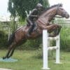 Bronze Jumping Steeplechase Horse Statue