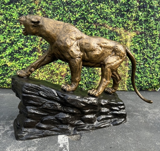 Bronze Growling Cougar Mascot Statue