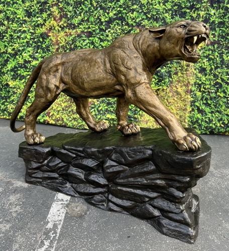 Bronze Growling Cougar Mascot Statue - ASB 963C