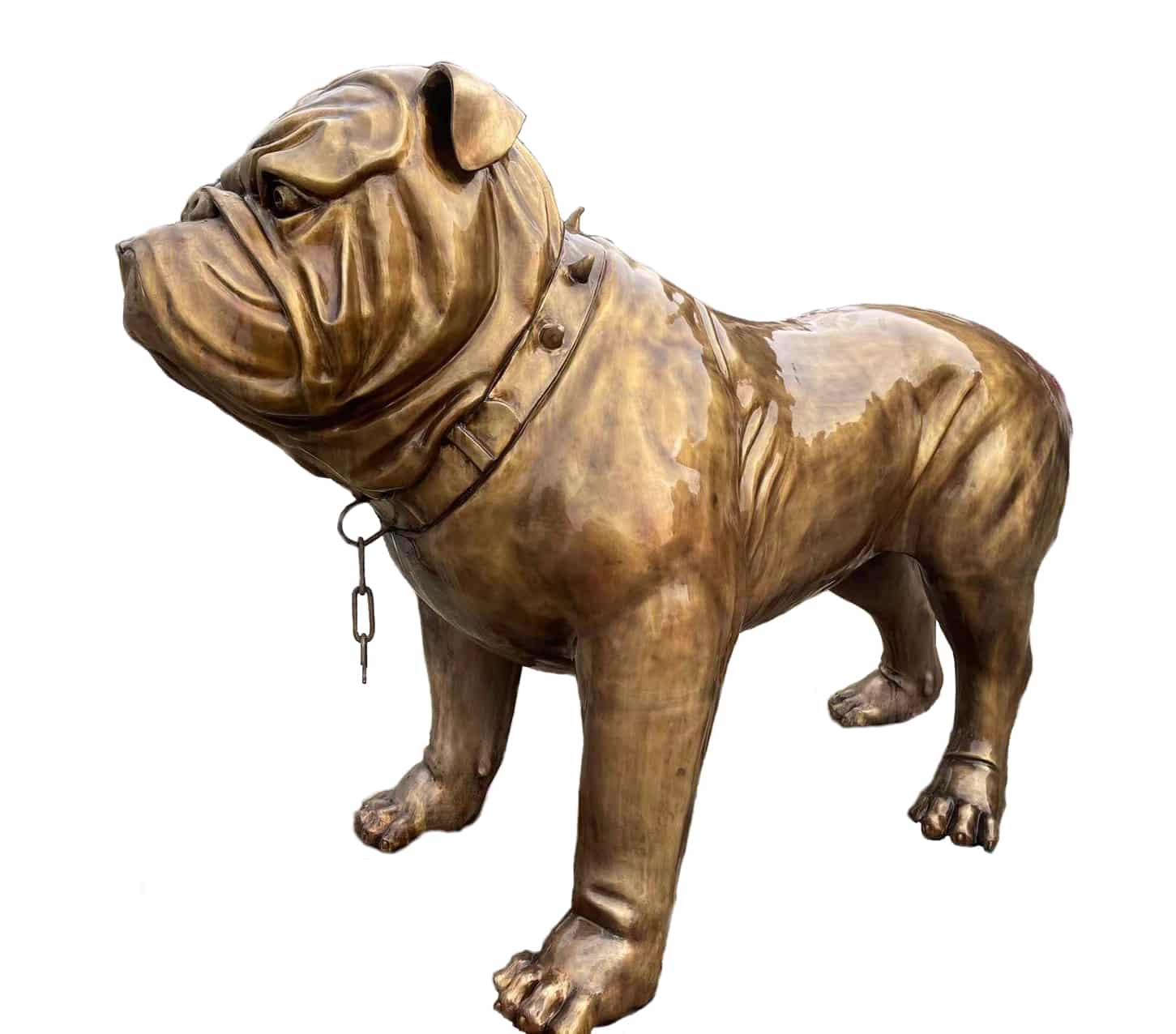 Bronze Gigantic Bulldog Mascot Statue (You won’t find any BIGGER!) - DZ-D1