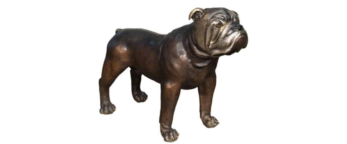 bronze bulldog mascot statue